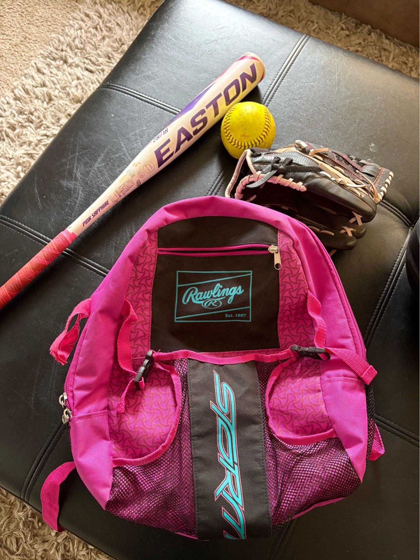 Girls softball gear