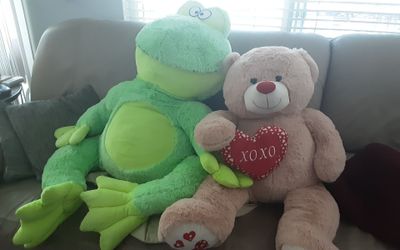 STUFFED ANIMALS .  GREAT FOR KIDS. USED FOR DISPLAY ONLY.  $20 FOR BOTH