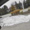 Jeffrey 