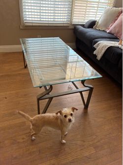 Glass coffee table