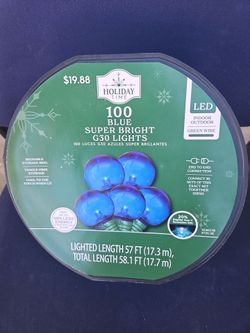 Holiday Time 100 Blue LED G30 String Lights