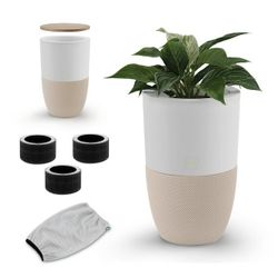 Dupray Air Purifier with Planter and Custom Walnut Accent Table Design $179.99