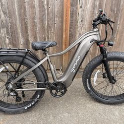Young Electric E Bike