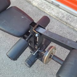 Marcy Bench