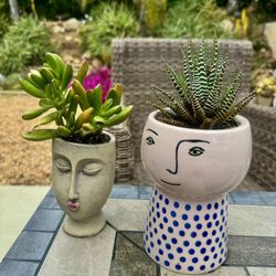 😍😍 Face Planter Duo - Two Face Planters w Plants Included 