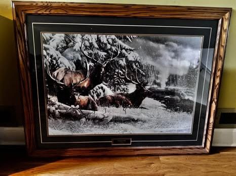 Forest Wall pictures Decor