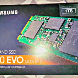 Samsung V-NAND SSD  860 EVO SATA M.2