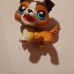 Lps