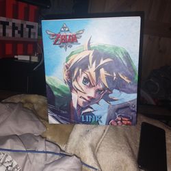 Legend Of Zelda  "LINK" SKY WARD SWORD 