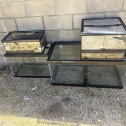 Reptile Tanks/supplies 
