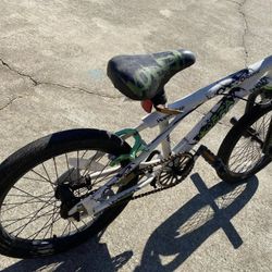 20” Bike With Pegs