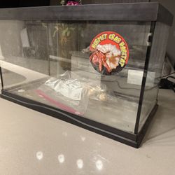 Hermit Crab Tank 