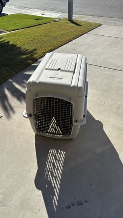 Pet Kennel