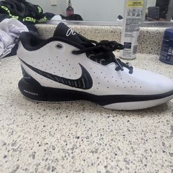 Nike Lebron James XXL Conchiolin Basketball Shoes