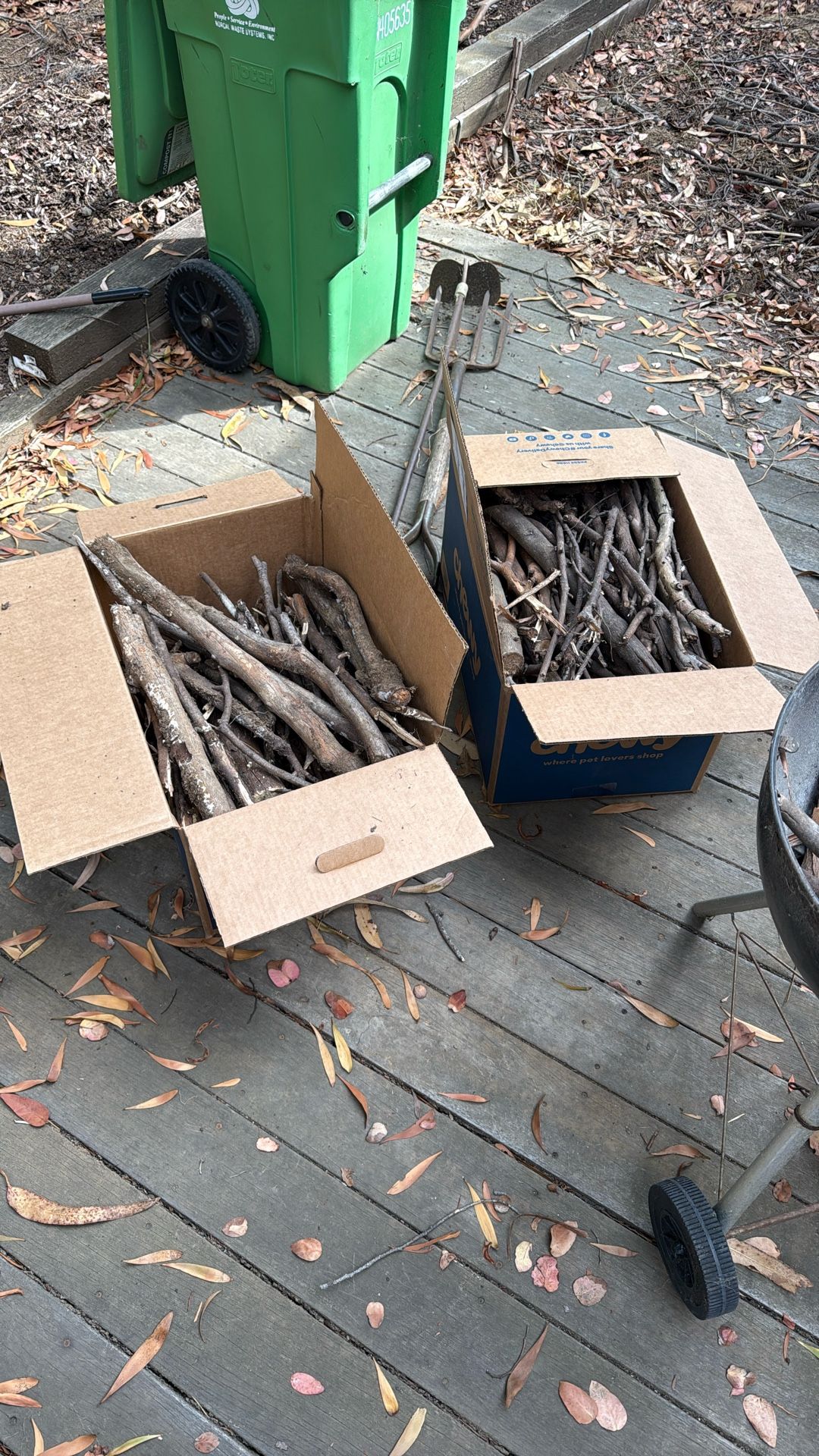 Free Burning Wood/Branches