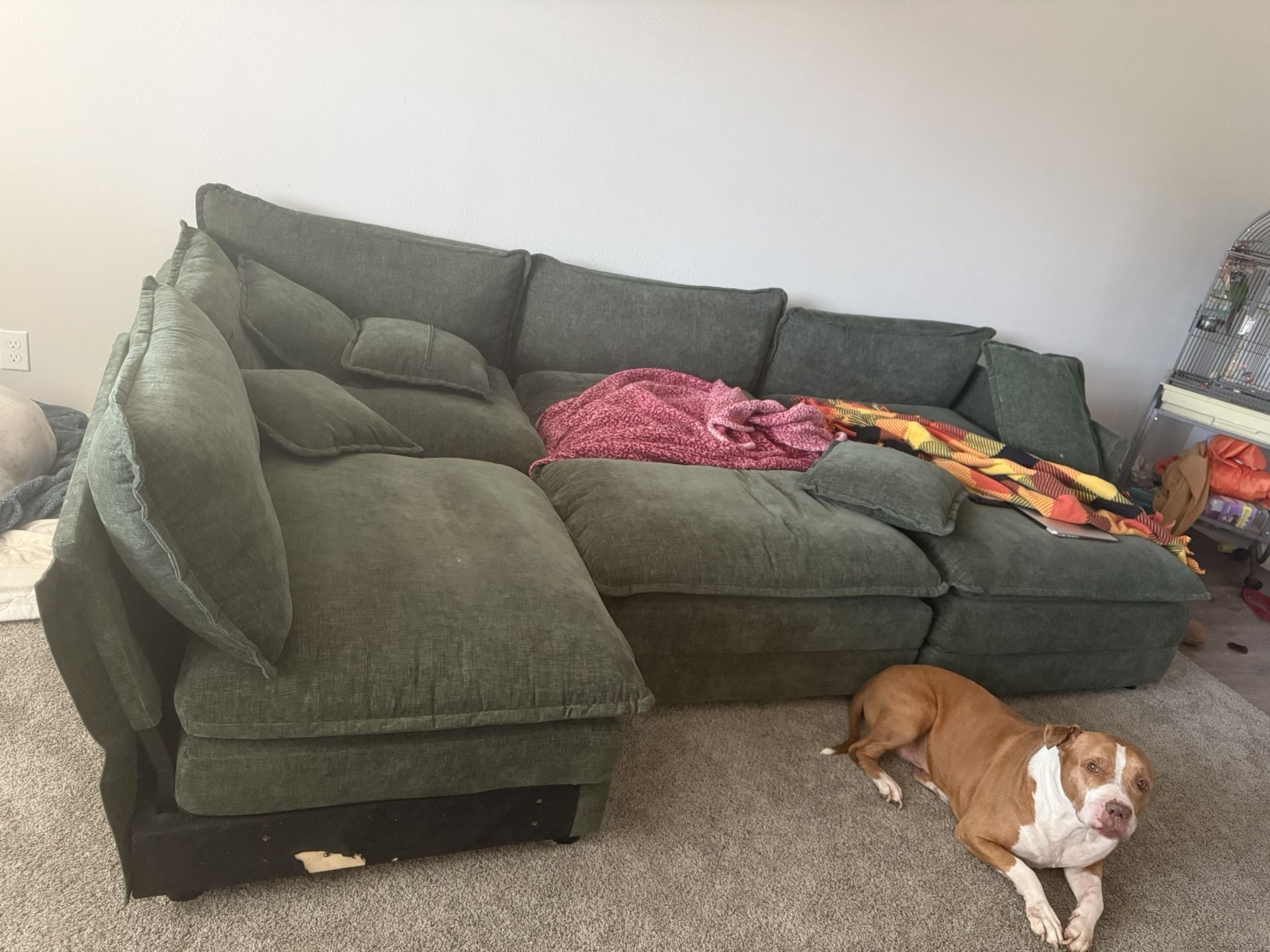 Couches, Sconces And Books 