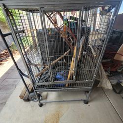 Parrot Bird Cage