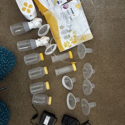 Medela pump in style  double electric beast pump