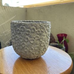5” Plant Pot