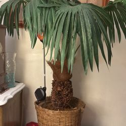 Fake Tree