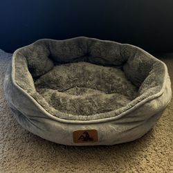 Frenchie Bed 