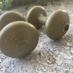 Pair Of 3 Lb Dumbbells 