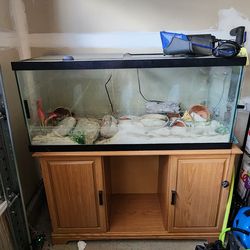 75 Gallon Fish tank