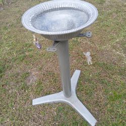 Bird Bath