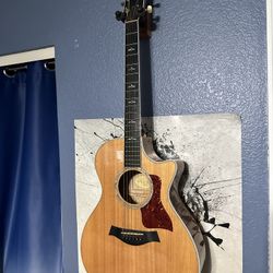 Taylor Acoustic Electric 612ce Series