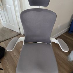 Office Chair With Adjustable Height And Lumbar