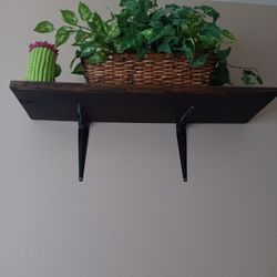 Shelf, Artificial Plant, Ceramic Cactus