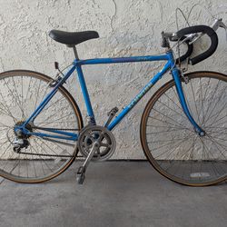 Schwinn road bike 19 inch frame