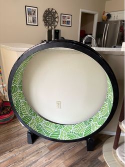 One Fast Cat Exercise Wheel