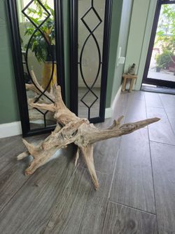 Large Unique Driftwood Piece