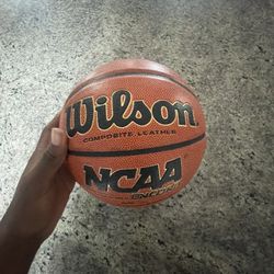 Wilson Basketball indoor