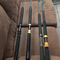 Fishing rods 