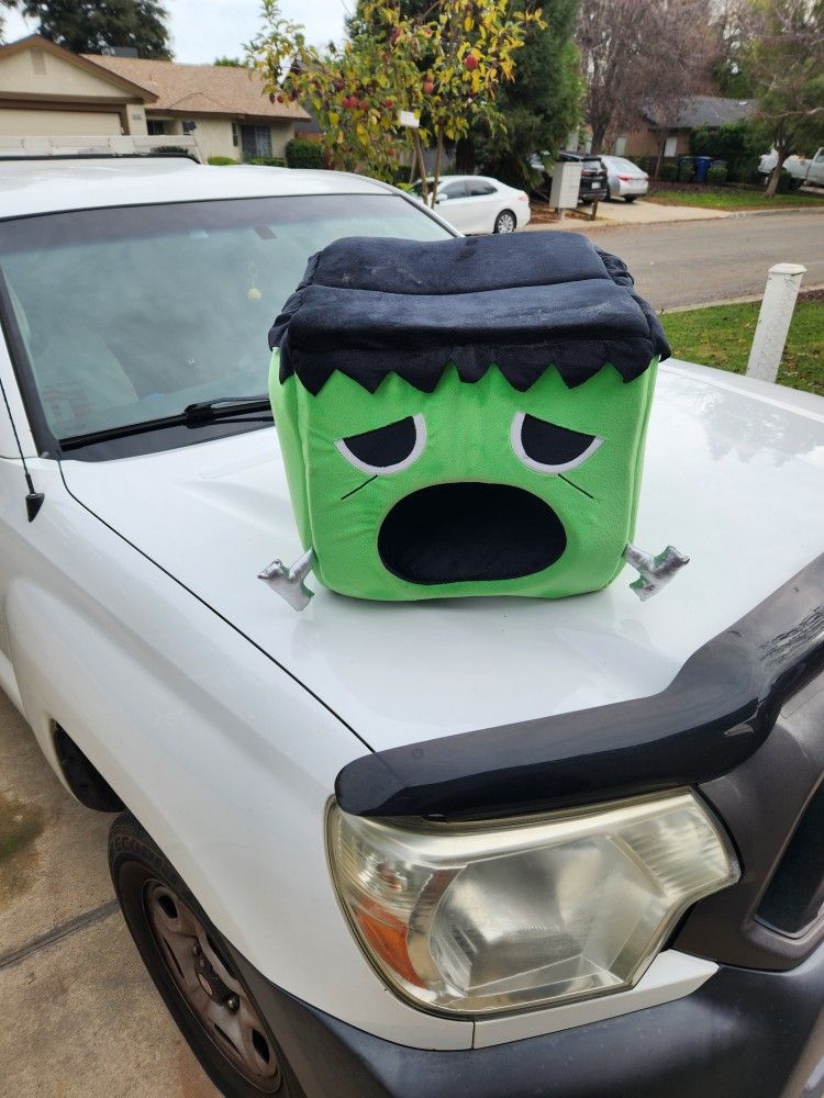 Nice small Frankenstein theme cat sleeper