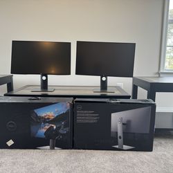 Dell Monitors (2)