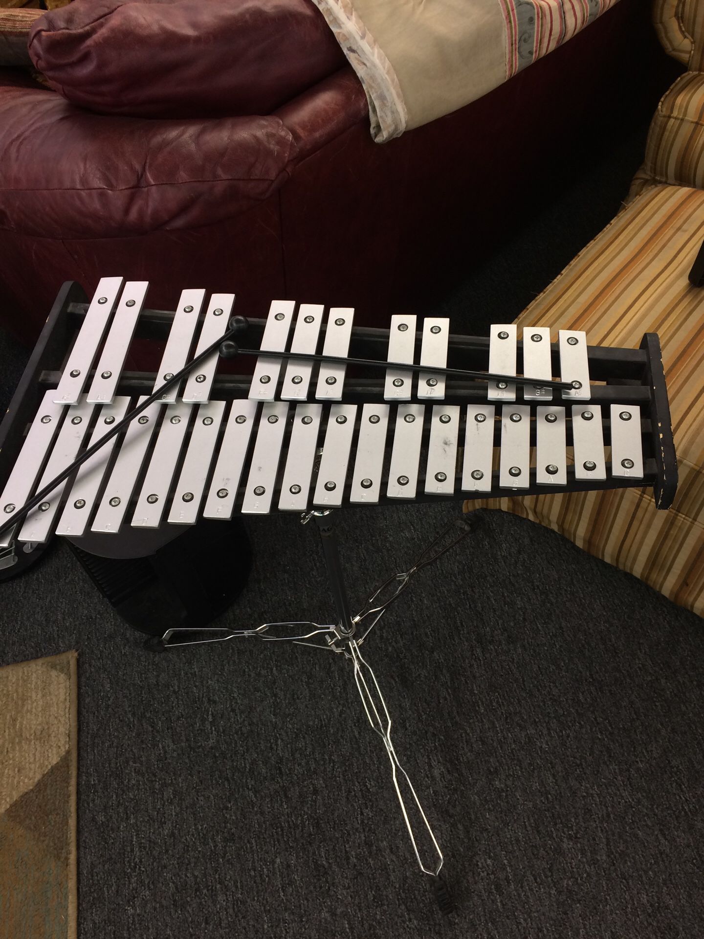 Xylophone with stand