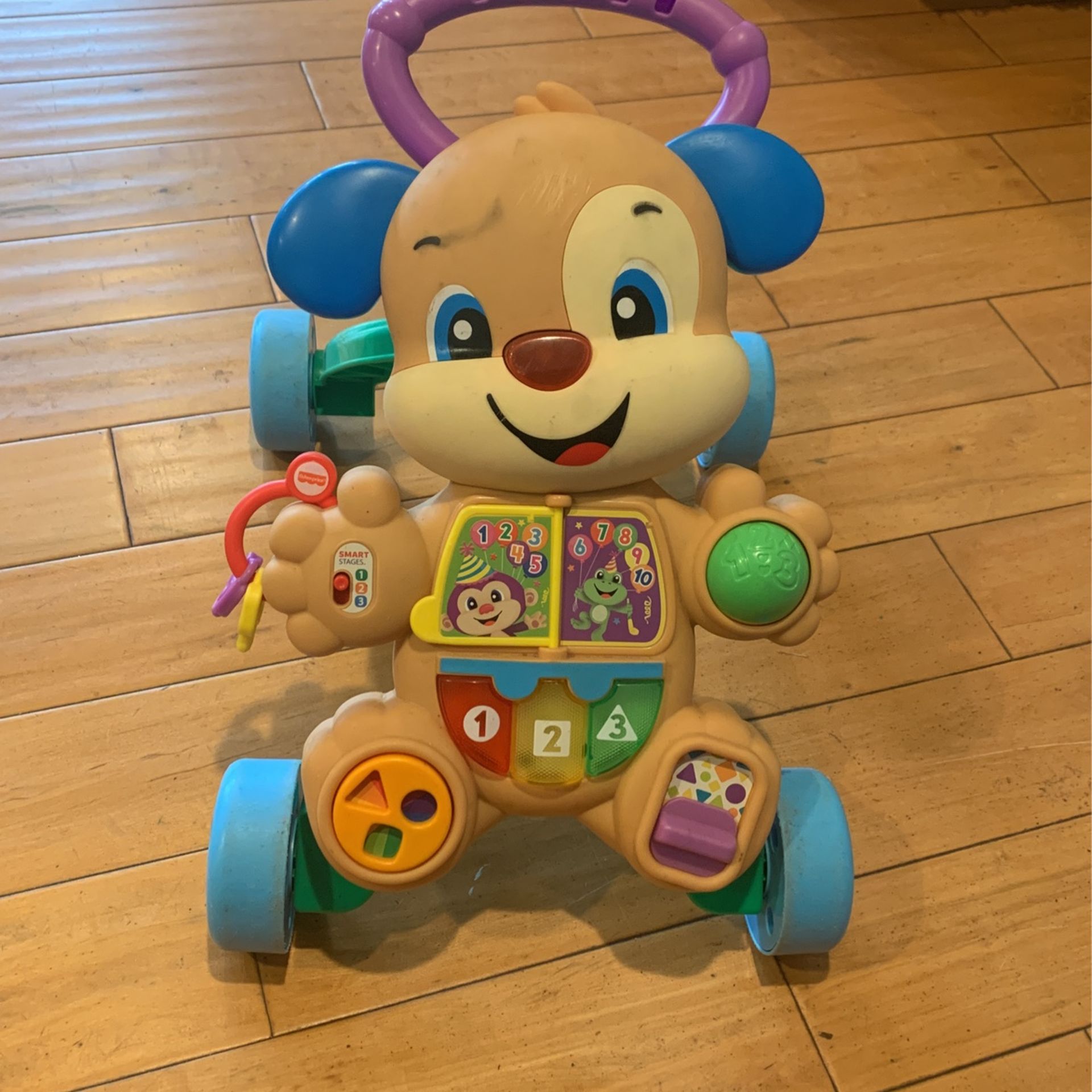 Baby Push Toy