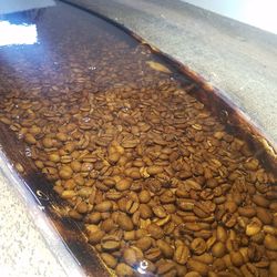 22”x44 Coffee Bean Coffee Table