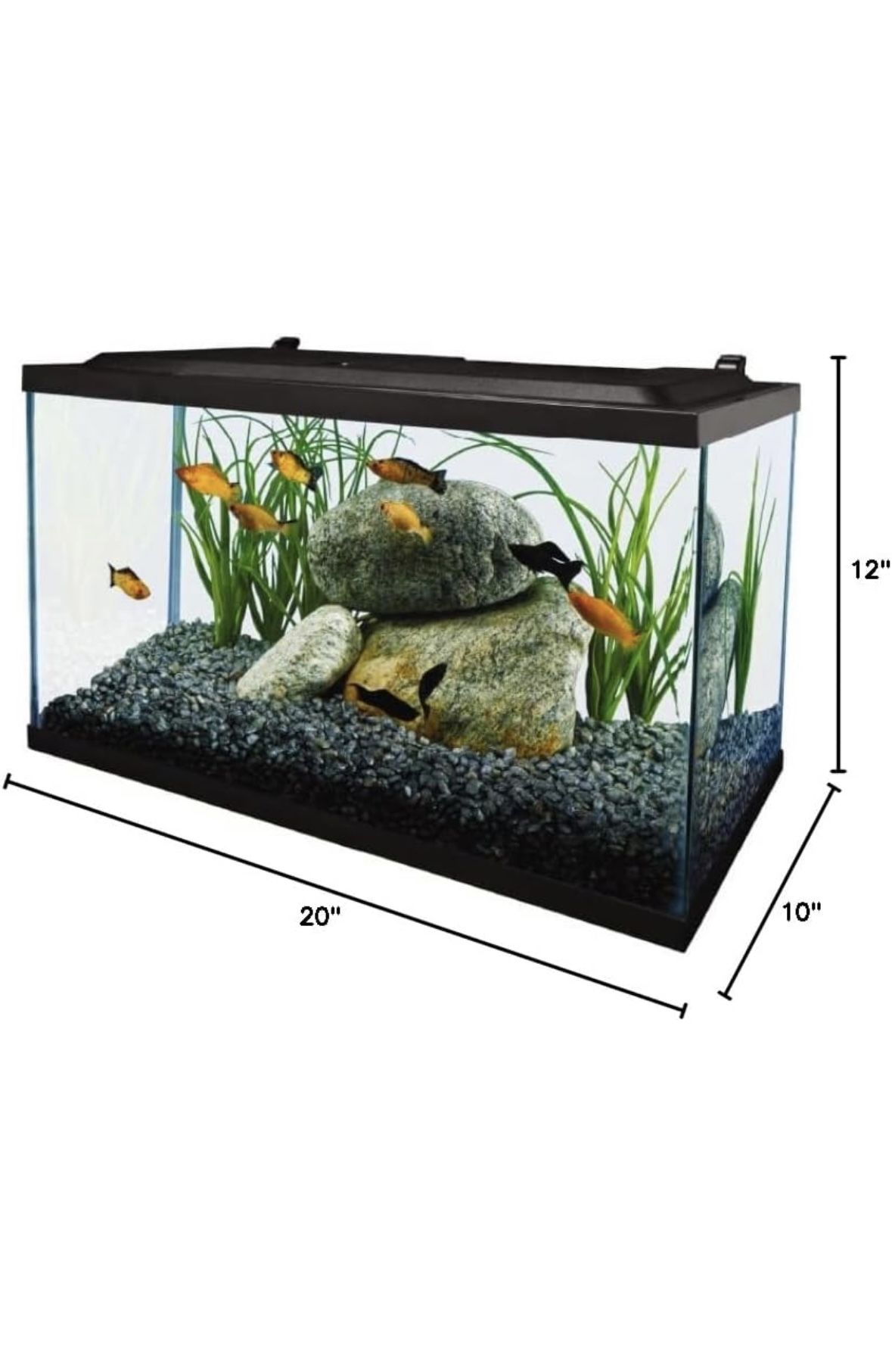 10 Gallon Fish Tank Like New