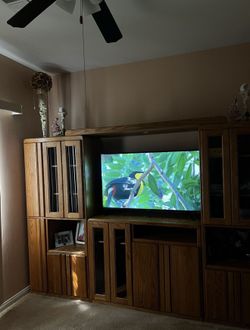 Entertainment Center with Tv