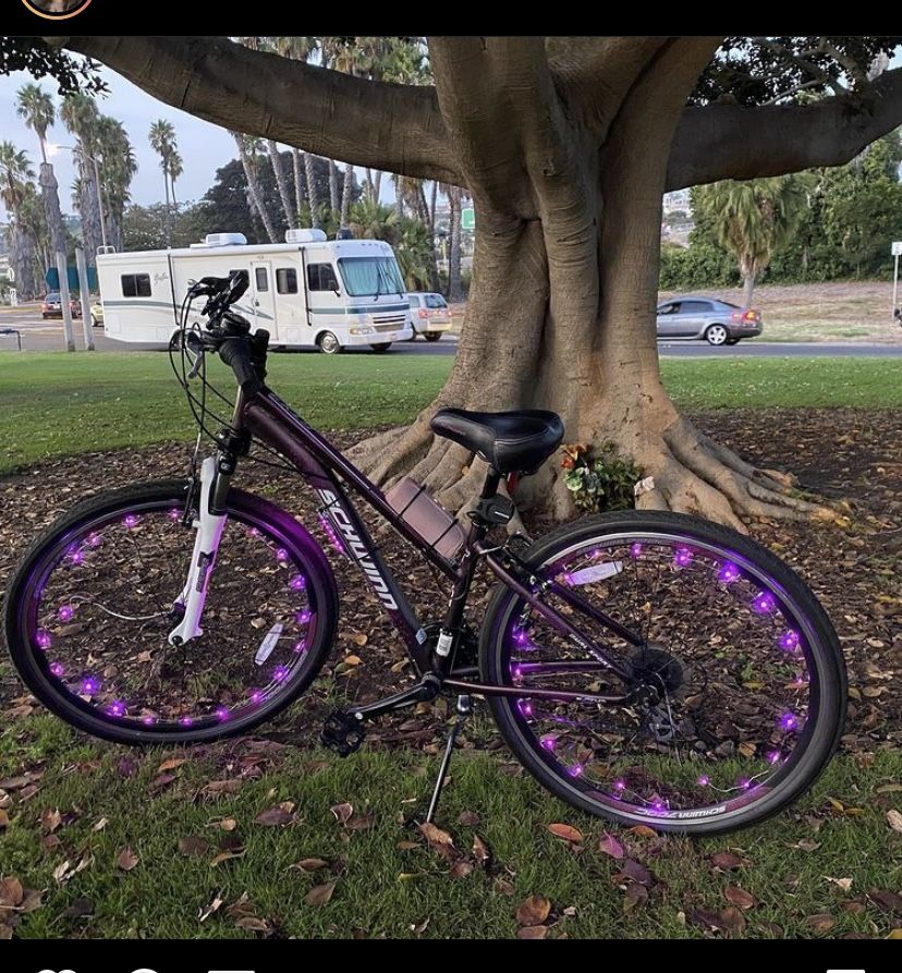 Purple Schwinn 26”