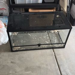 40 Gallon Terrarium