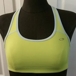 Champion Sports Bra