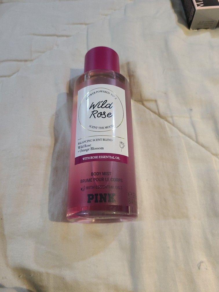 Wold Rose 