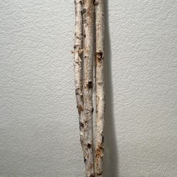 New 3 pc Birch Poles