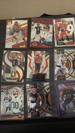 CIN Bengals Lot