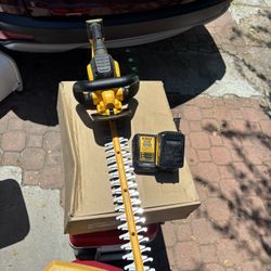 Dewalt Skimmer And Battery 